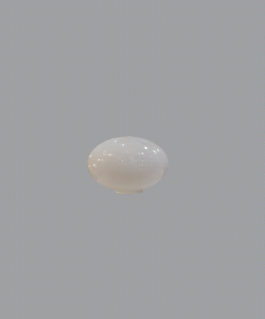 chata T80 prueba pequeña .gif_1